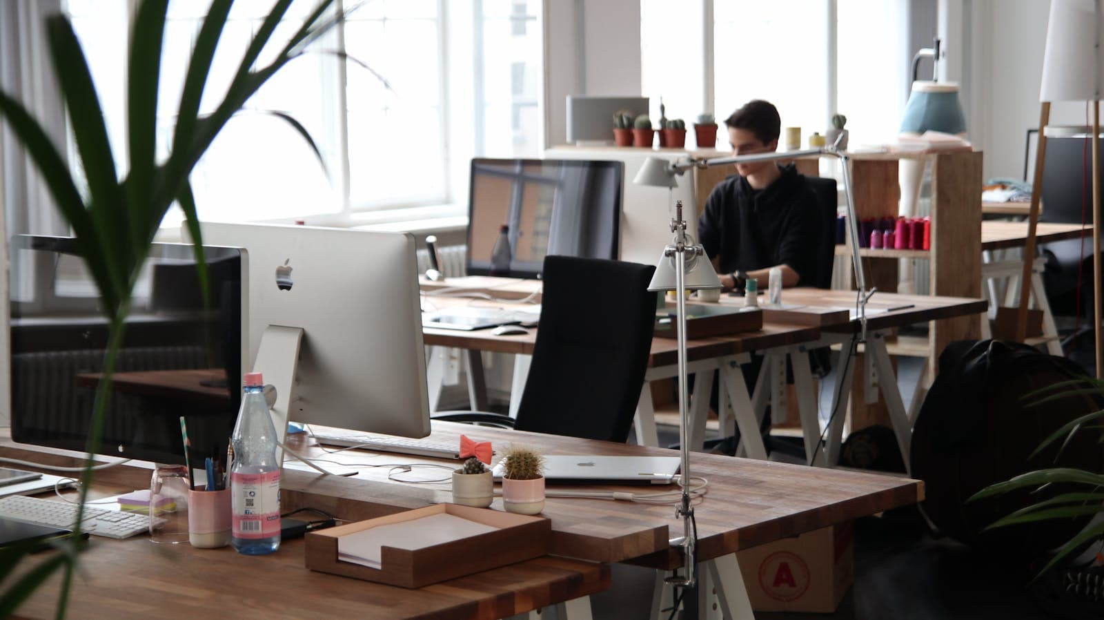 A calm, sunlit workspace with a laptop, notebook, and a plant on a wooden desk