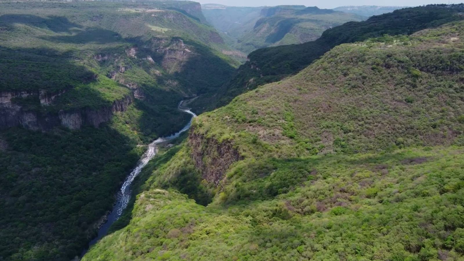 Aerial view over a forested canyon with a river winding below
